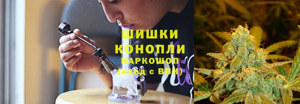 молекула духа Покров