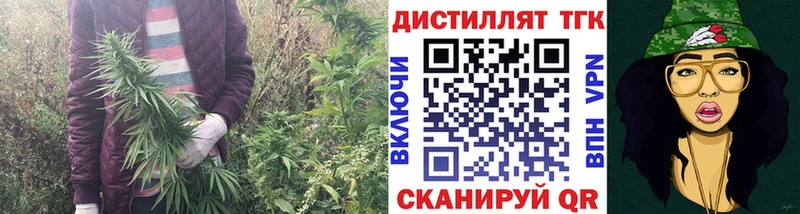 Дистиллят ТГК Wax  Семилуки 