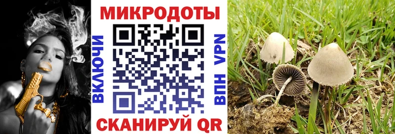 Галлюциногенные грибы прущие грибы  Семилуки 