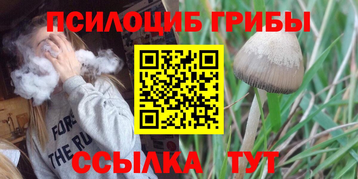 Псилоцибиновые грибы Psilocybe  Вход с VPN  Семилуки  Псилоцибиновые грибы Psilocybe 