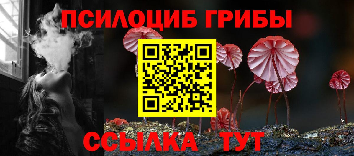 Галлюциногенные грибы Psilocybe Семилуки